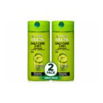 Garnier Fructis Daily Care 2-in-1 Cleansing Shampoo and Conditioner, Normal Hair 12.5 Fl oz (2PK)