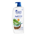 Head & Shoulders 2-in-1 Advanced Scalp Care with Aloe, Coconut Water, 40 Fl Oz